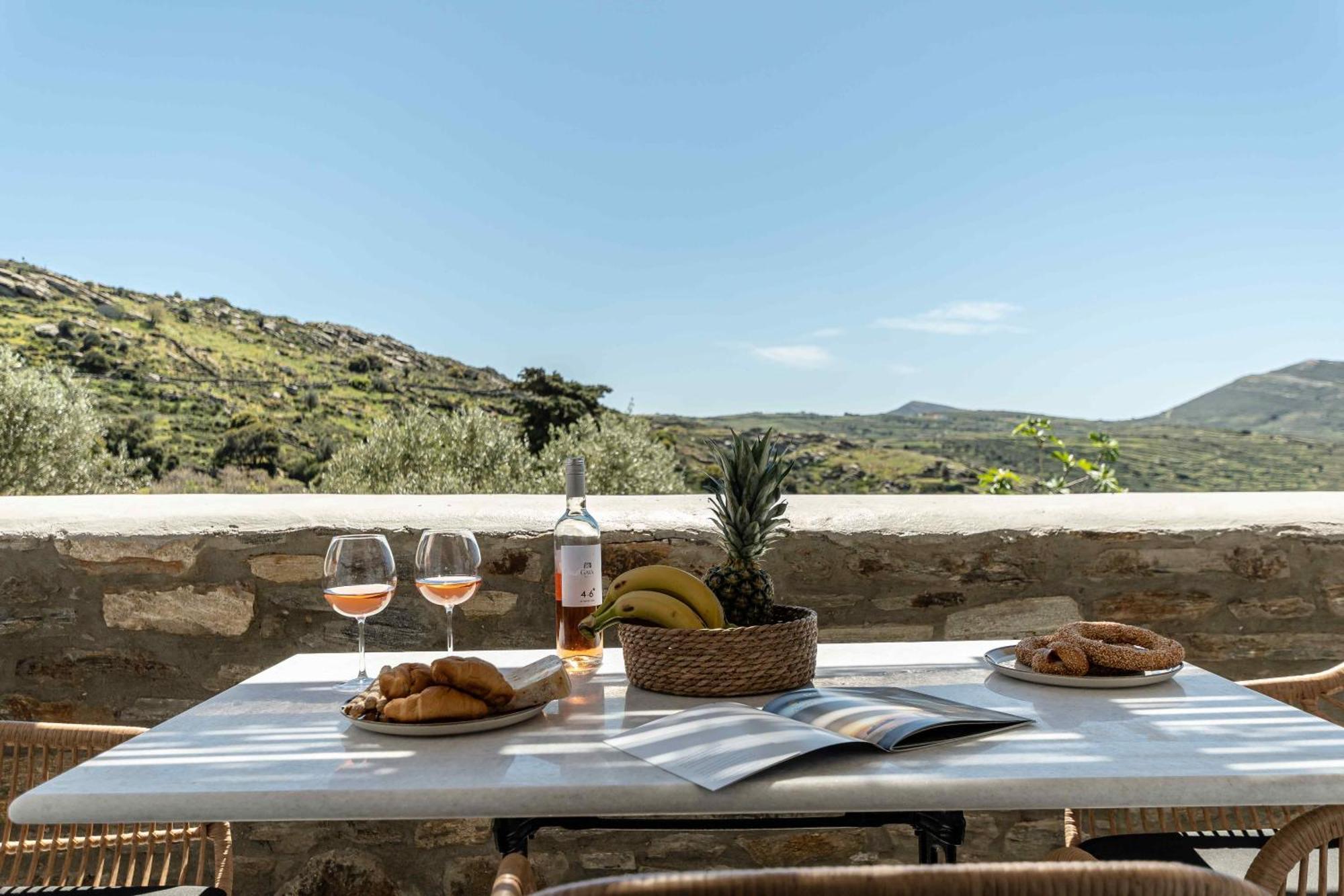 Ktima Drilli - Experience The Authentic Naxian Lifestyle Holiday home *